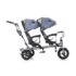 Chipolino Triciclu pentru gemeni Tandem TRKTA0185MC Muliticolor