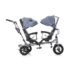 Chipolino Triciclu pentru gemeni Tandem TRKTA0185MC Muliticolor